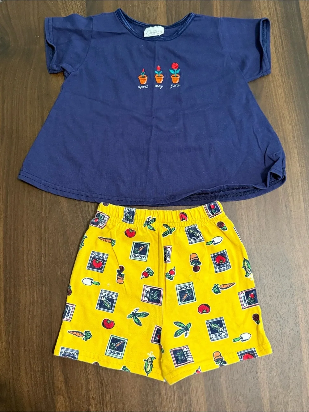 Baby girl vintage Carter’s 90’s garden shirt and shorts set